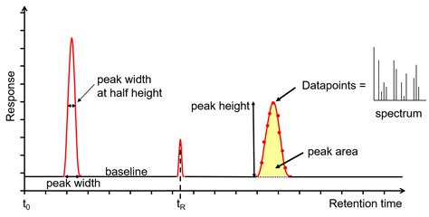 gas chromatography graph explained.